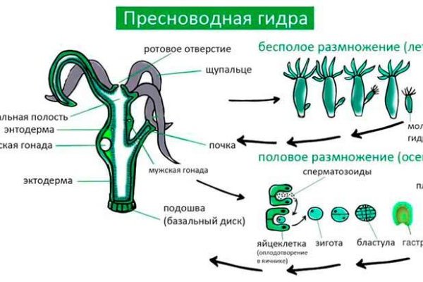 Рабочая blacksprut 1blacksprut me