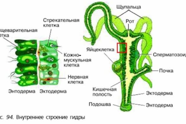 Black sprut ссылка 1blacksprut me