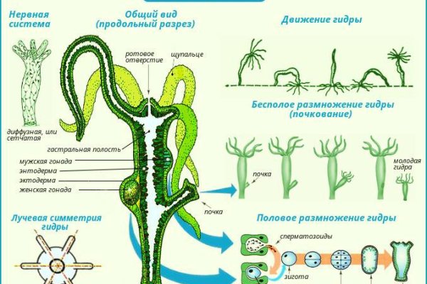 Логин пароль blacksprut bs2web top