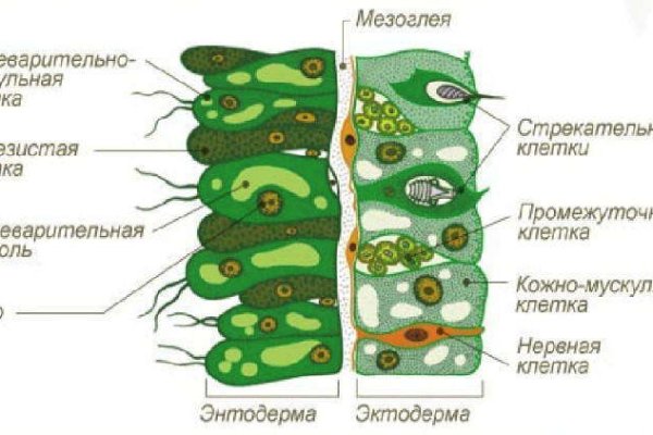 Блэкспрут площадка